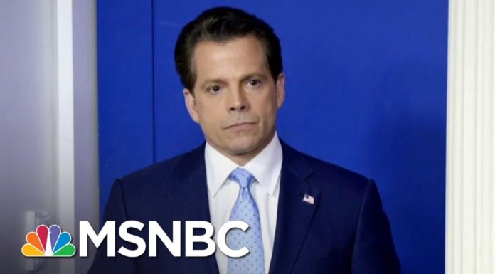 Anthony Scaramucci goes Hollywood