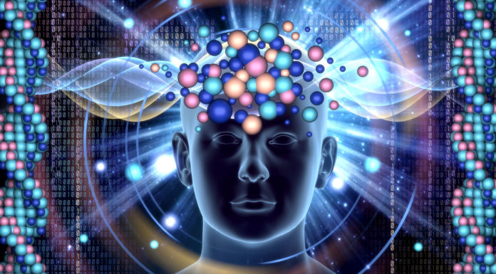 Enter the World of the Surrogates