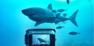 Shark Week’s Andy Casagrande Wants You to ‘Live the Life You Dream’
