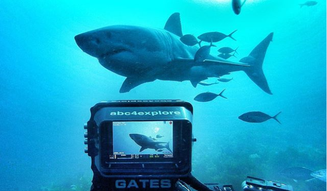 Shark Week’s Andy Casagrande Wants You to ‘Live the Life You Dream’