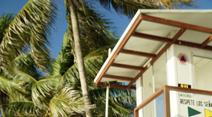 This Remote Job Coach Will Show You How to Find Work That Brings Freedom and Flexibility to Your Life