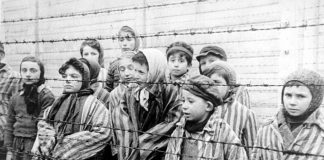 History is Doomed to Repeat Itself If Others Wait As Long As Facebook Did to Ban Holocaust Denial Content