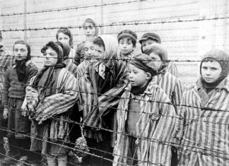 History is Doomed to Repeat Itself If Others Wait As Long As Facebook Did to Ban Holocaust Denial Content