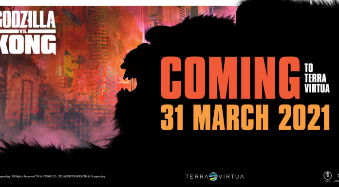 How Terra Virtua Is Reinventing The World Of Collecting