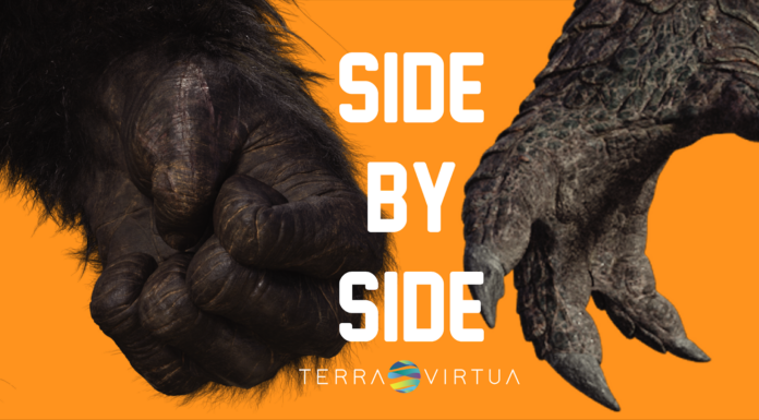 Hollywood Brings ‘Godzilla Vs. Kong’ into the NFT Market