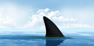 DIVE IN TO DISCOVERY’S SHARK WEEK 2021 FINTASTIC PARTNERSHIPS