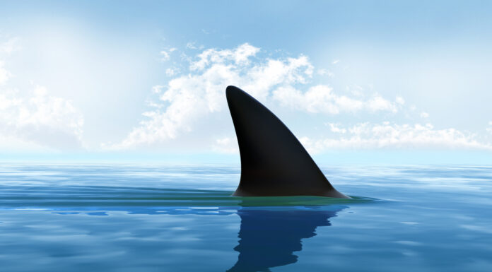 DIVE IN TO DISCOVERY’S SHARK WEEK 2021 FINTASTIC PARTNERSHIPS