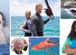 DISCOVERY CHANNEL’S SHARK WEEK 2021 SWIMS OFF WITH JAWSOME LINEUP FEATURING MORE HOURS OF SHARK PROGRAMMING THAN EVER BEFORE