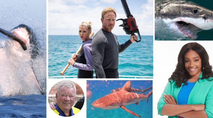 DISCOVERY CHANNEL’S SHARK WEEK 2021 SWIMS OFF WITH JAWSOME LINEUP FEATURING MORE HOURS OF SHARK PROGRAMMING THAN EVER BEFORE