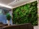How Offices and Retail Spaces Can Benefit from a Respira Living Wall Garden
