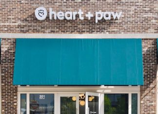 Heart + Paw Has Your Back With Holiday And Winter Travel For Pets Heart + Paw