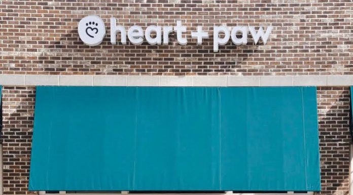 Heart + Paw Has Your Back With Holiday And Winter Travel For Pets Heart + Paw