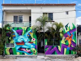 How a Cut-Off Mexican Village Brought NFTs Into Its Disaster-Ridden Community to Improve Public Utilities True Hollywood Talk Image