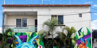 How a Cut-Off Mexican Village Brought NFTs Into Its Disaster-Ridden Community to Improve Public Utilities True Hollywood Talk Image