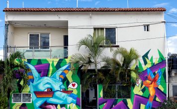 How a Cut-Off Mexican Village Brought NFTs Into Its Disaster-Ridden Community to Improve Public Utilities True Hollywood Talk Image