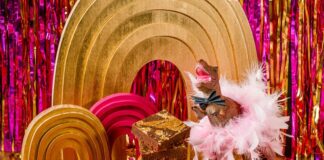 Wunderkeks cookies to be a part of Hollywood’s biggest night — the 2022 Oscars Wunderkeks