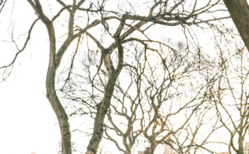 Eight Things You can Learn From Expo’s From Any Industry To Help Build Relationships: