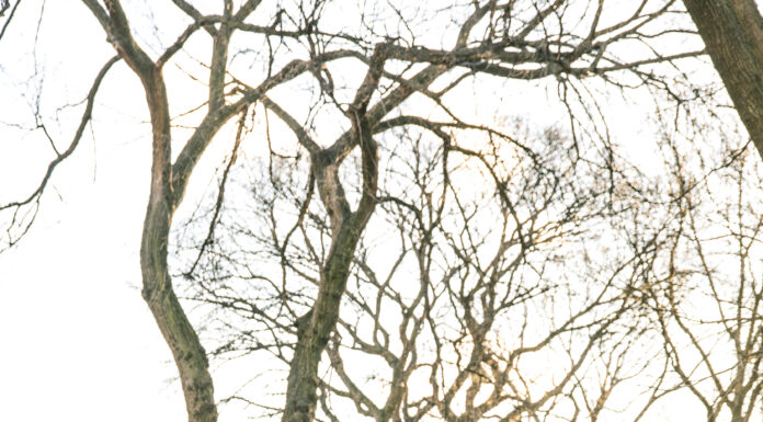 Eight Things You can Learn From Expo’s From Any Industry To Help Build Relationships: