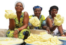 Baraka Shea Butter Helps Promote A Sustainable Lifestyle Around The World Baraka Shea Butter