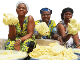 Baraka Shea Butter Helps Promote A Sustainable Lifestyle Around The World Baraka Shea Butter