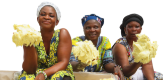 Baraka Shea Butter Helps Promote A Sustainable Lifestyle Around The World Baraka Shea Butter