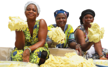 Baraka Shea Butter Helps Promote A Sustainable Lifestyle Around The World Baraka Shea Butter