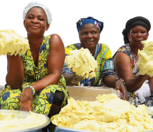 Baraka Shea Butter Helps Promote A Sustainable Lifestyle Around The World Baraka Shea Butter