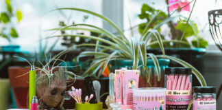 Blazy Susan Takes Creativity And Relaxation To Another Level Blazy Susan