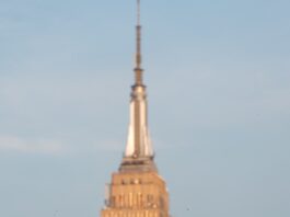 Shochu: A Boozy Spirit Chameleon