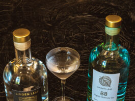 Gin and vodka with some serious chemistry