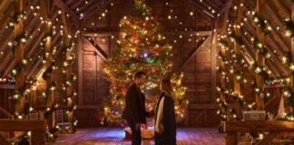 Review: ‘A Merry Christmas Wish’ is a captivating new original holiday movie Cameron Mathison and Jill Wagner in 'A Merry Christmas Wish'