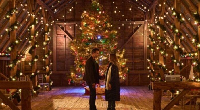 Review: ‘A Merry Christmas Wish’ is a captivating new original holiday movie Cameron Mathison and Jill Wagner in 'A Merry Christmas Wish'