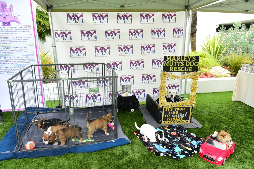 Debbie Durkin's ECOLUXE Luxury Lounge and Luncheon ECOLUXE Lounge Marley's Mutts Dog Rescue 2023