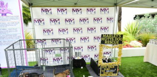 17th Annual ECOLUXE Pre-Oscar’s Lounge Returns to Beverly Hills; Benefits Marley’s Mutts Dog Rescue ECOLUXE Lounge Marley's Mutts Dog Rescue 2023
