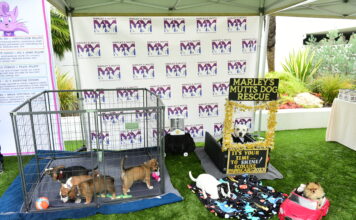 17th Annual ECOLUXE Pre-Oscar’s Lounge Returns to Beverly Hills; Benefits Marley’s Mutts Dog Rescue ECOLUXE Lounge Marley's Mutts Dog Rescue 2023