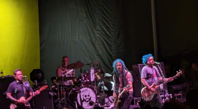 NOFX Kicked Off Final Tour in Austin with Punk In Drublic Festival — And It Was Hauntingly Beautiful NOFX Final Tour Austin True Hollywood Talk