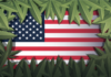 Cannabis Legalization Updates Across the United States cannabis