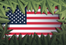 Cannabis Legalization Updates Across the United States cannabis
