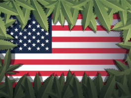 Cannabis Legalization Updates Across the United States cannabis