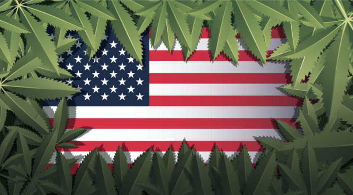 Cannabis Legalization Updates Across the United States cannabis