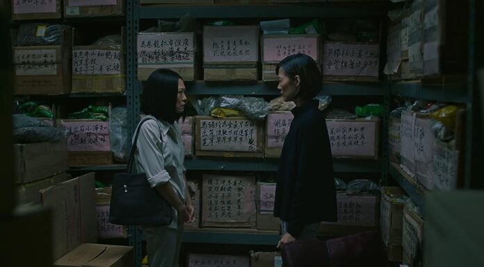Review: ‘Paper Tiger’ is a compelling film starring Lydia Look Lydia Look and Elaine Kao in 'Paper Tiger'