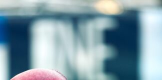 “Deadpool 3”: A Star-Studded Adventure with a Canine Twist