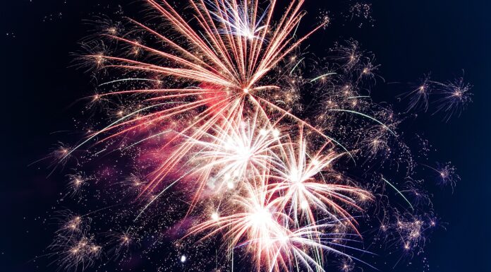 Ring in the New Year with These Top 5 Must-Watch Movies