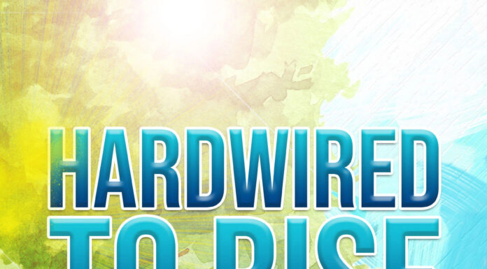 Amy Koford: The Silent Shadow