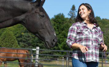 Carmen Theobald: Horse Power – Embracing Strength and Vulnerability