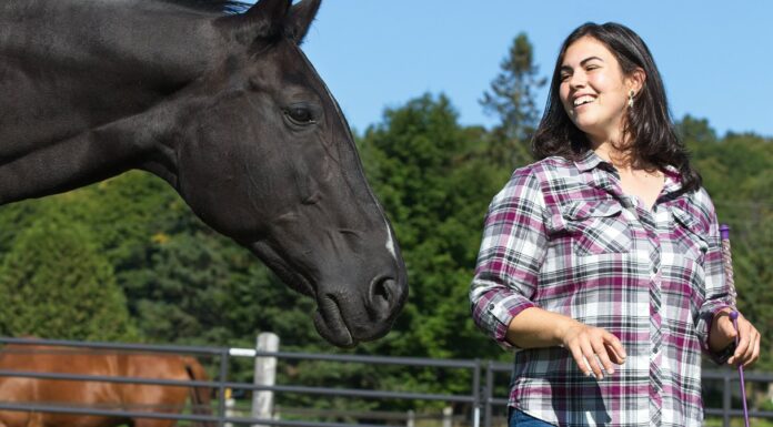 Carmen Theobald: Horse Power – Embracing Strength and Vulnerability