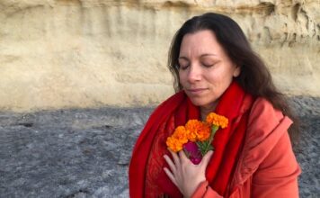 Title: Rev. Jenn Cormier: Embracing Grief as a Wise Teacher for Healing