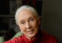 Dame Jane Goodall to appear at the Beacon Theatre in New York Dr. Jane Goodall