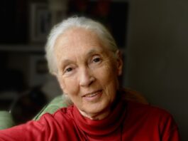 Dame Jane Goodall to appear at the Beacon Theatre in New York Dr. Jane Goodall
