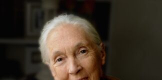 Dame Jane Goodall to appear at the Beacon Theatre in New York Dr. Jane Goodall